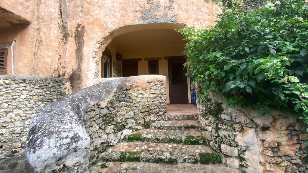 img 0240
