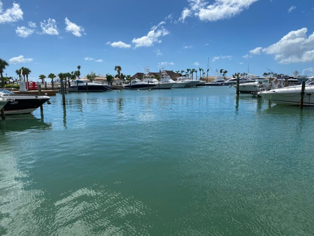 img 0441(3)